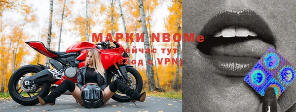 ПСИЛОЦИБИНОВЫЕ ГРИБЫ Верея