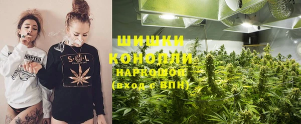 ПСИЛОЦИБИНОВЫЕ ГРИБЫ Верея