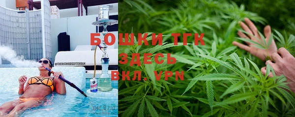 ПСИЛОЦИБИНОВЫЕ ГРИБЫ Верея