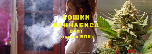ПСИЛОЦИБИНОВЫЕ ГРИБЫ Верея